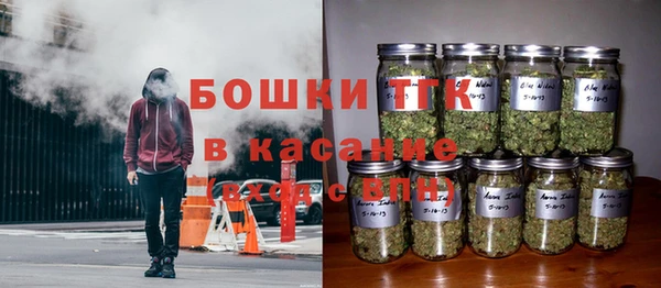 стаф Балахна